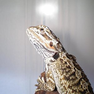 Copia de PA030563.JPG