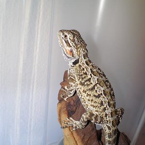 Copia de PA030566.JPG