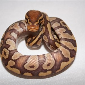 IMG_0034 (Small).JPG