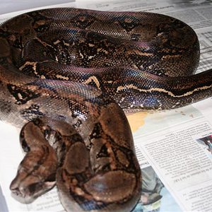 IMG_0009 (Small).JPG