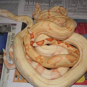 IMG_0024 (Small).JPG