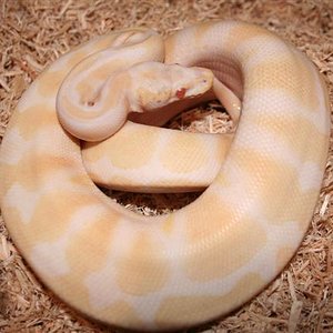 IMG_0044 (Small).JPG