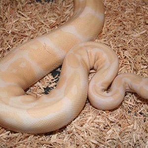 IMG_0056 (Small).JPG