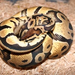 IMG_0049 (Small).JPG