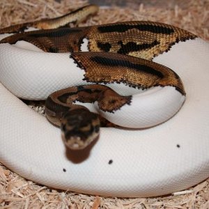 IMG_0053 (Small).JPG