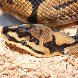 IMG_0052 (Small).JPG