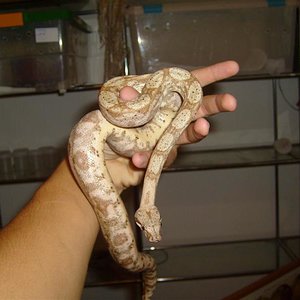 S7000734 (Medium).JPG