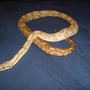 S7000738 (Medium).JPG