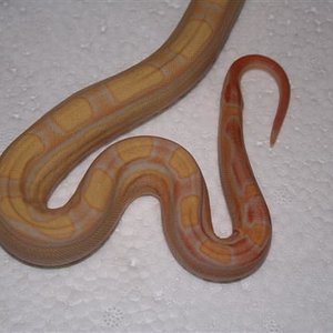 IMG_0069 (Small).JPG