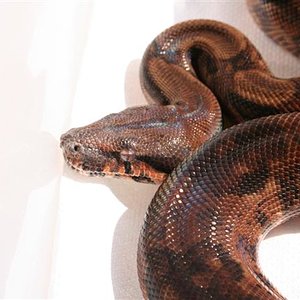 IMG_0074 (Small).JPG