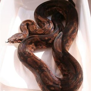 IMG_0075 (Small).JPG