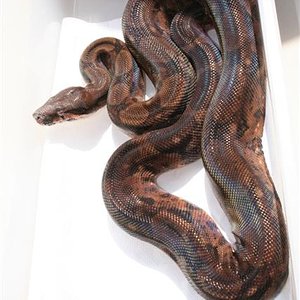 IMG_0077 (Small).JPG