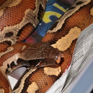 IMG_0081 (Small).JPG