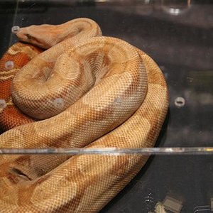 IMG_0320 (Small).JPG