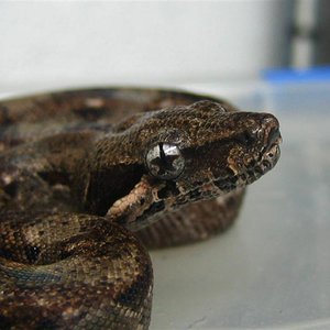 Estrella en el ojo 004 (Medium).jpg