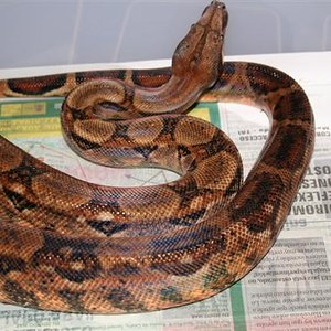 IMG_0093 (Small).JPG