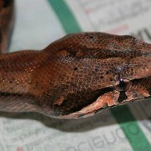 IMG_0094 (Small).JPG