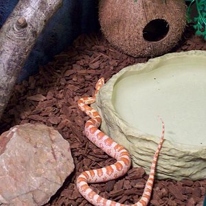 de vuelta a casa.JPG