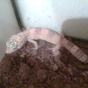 diciembre2006 024.jpg