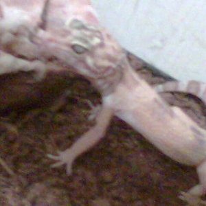 diciembre2006 017.jpg