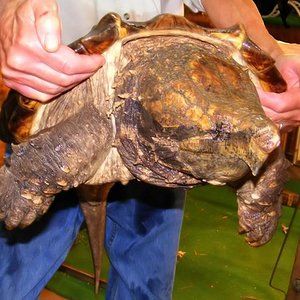 Macro Hartford CT.jpg