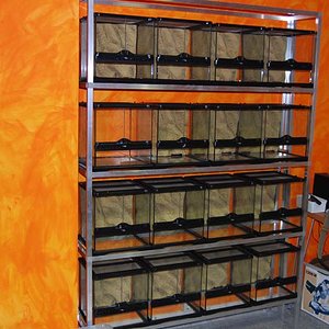 Bateria terrarios exo-terra 03.jpg