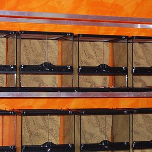 Detalle bateria exo-terra.jpg