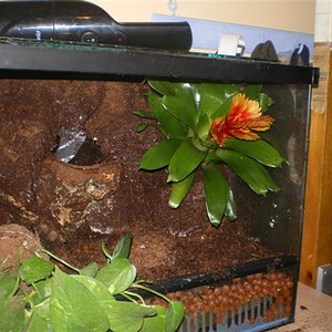 vivari acabat 95% 003 (Small).jpg