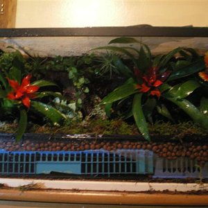 vivari acabat 95% 005 (Small).jpg