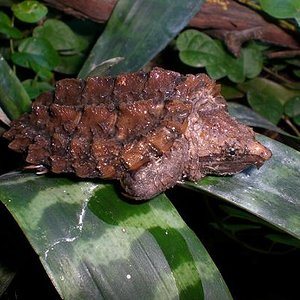 todas otra vez 23-12-2007 123.jpg