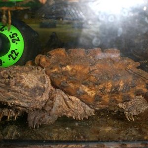 todas otra vez 23-12-2007 180.jpg