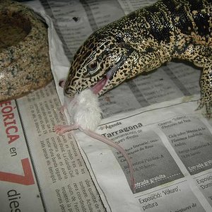 Copia de PICT5166.JPG