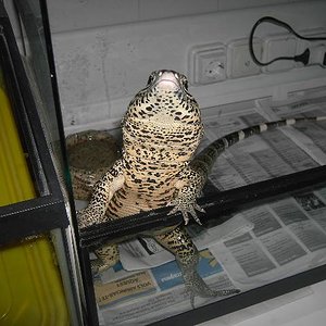 Copia de PICT5156.JPG