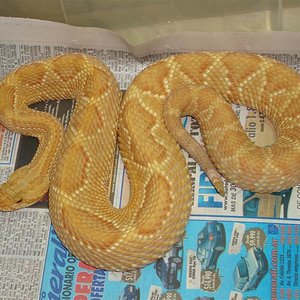 DSC01037 (Medium).JPG