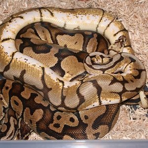 IMG_0467 (Small).JPG