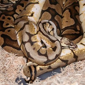 IMG_0468 (Small).JPG