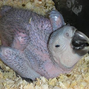 sol! 43902a (35).jpg