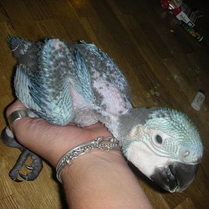 sol! 43902a (102).jpg