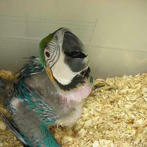 sol! 43902a (160).jpg