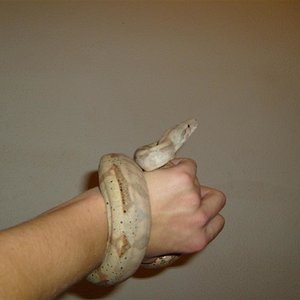 S7000871 (Large).JPG