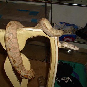 S7000874 (Large).JPG