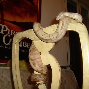 S7000879 (Large).JPG