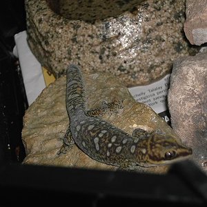 Copia de PICT5873.JPG