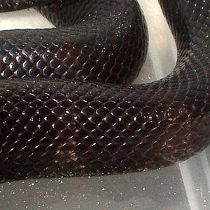 Cali chocolate detalle.jpg