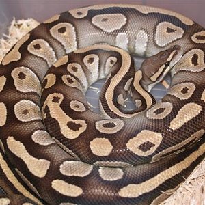 IMG_0536 (Small).JPG