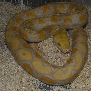 Copia de _DSC0154.JPG