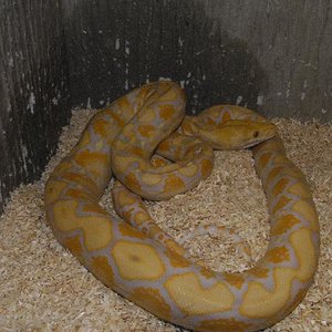 Copia de _DSC0157.JPG