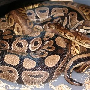 IMG_0301 (Small).JPG