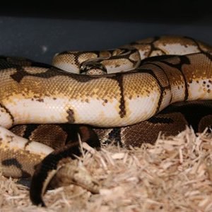 IMG_0552 (Small).JPG