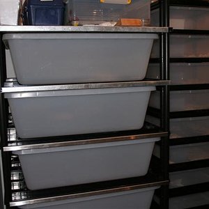 IMG_0038 (Small).JPG